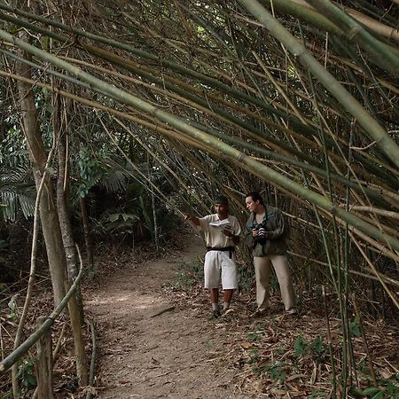 Tanjong Jara Resort, Terengganu - A Small Luxury Hotels Of The World Dungun Extérieur photo Bamboo forest in the park