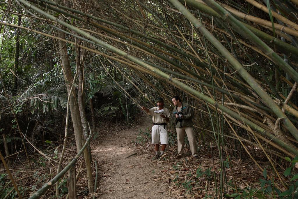 Tanjong Jara Resort, Terengganu - A Small Luxury Hotels Of The World Dungun Extérieur photo Bamboo forest in the park