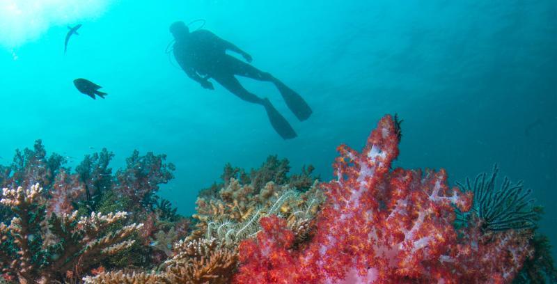 Tanjong Jara Resort, Terengganu - A Small Luxury Hotels Of The World Dungun Extérieur photo Scuba diving in the Red Sea